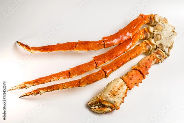 Obraz claw of a king crab on a white background