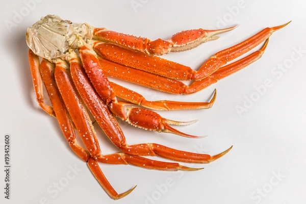 Obraz claw of a snow crab on a white background