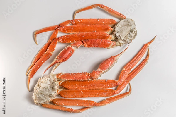 Obraz claw of a snow crab on a white background