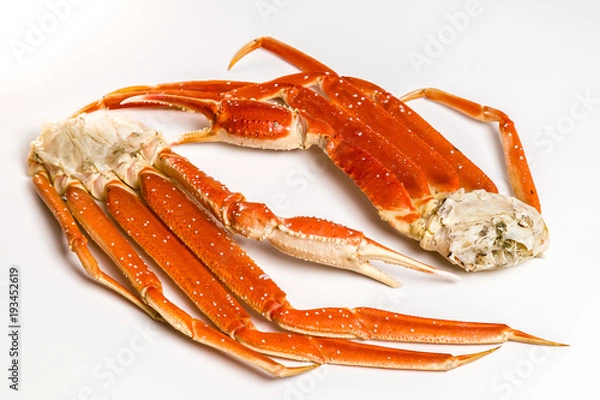 Obraz claw of a snow crab on a white background