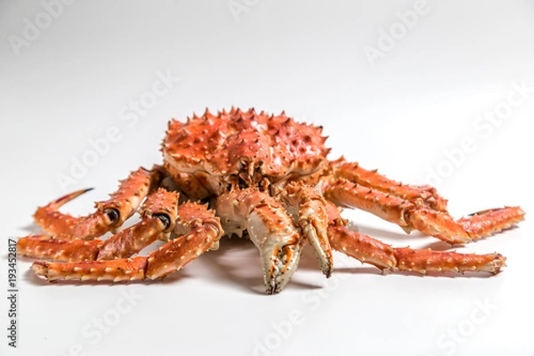 Obraz a king crab lies on a white background