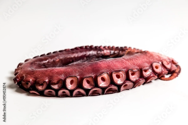 Obraz smoked octopus tentacles on a white background