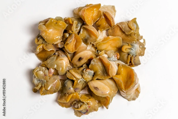 Obraz common whelk meat lies on a white background
