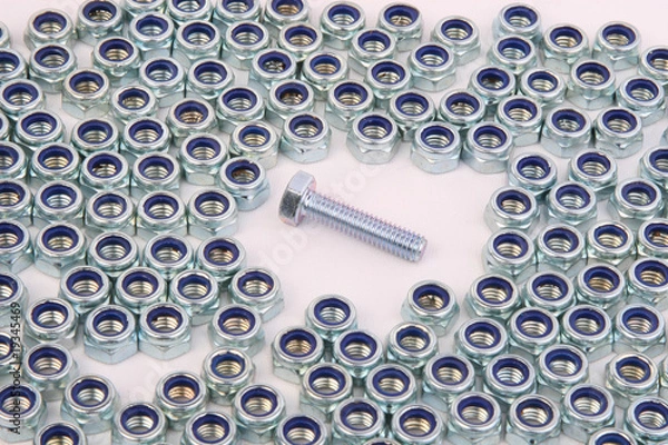 Obraz Nuts and Bolts