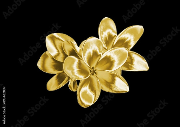 Obraz Gold flower on a black background .