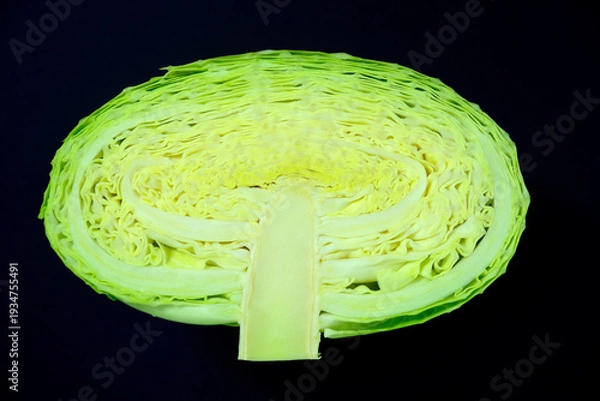 Obraz キャベツ