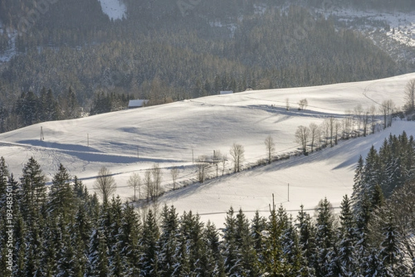 Obraz Winterlandschaft