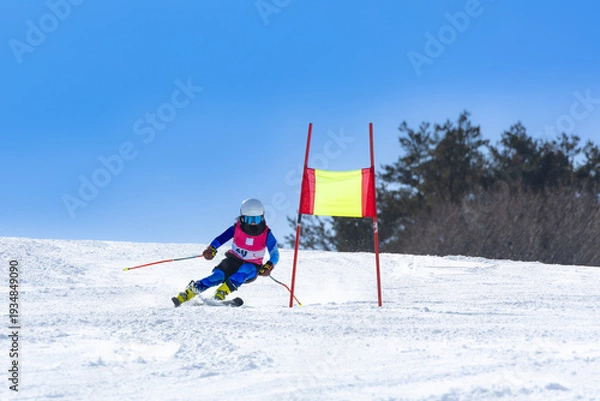 Obraz スキー競技の練習をする女子選手