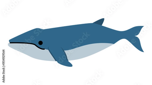 Fototapeta シンプルでかわいいクジラのイラスト　海の生き物のベクター素材
