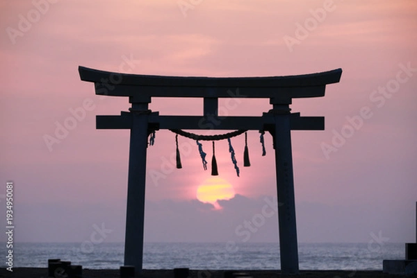 Obraz 鳥居から昇る太陽