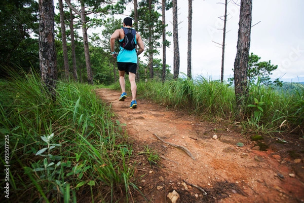 Fototapeta Athletic runner running on tropical forest trail, dramatic tone