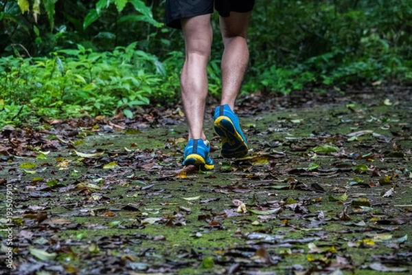 Fototapeta marathon runner running in rocks mountain. closeup of legs compression socks and shoes