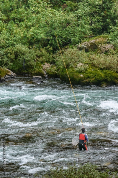 Fototapeta 渓流の釣り人