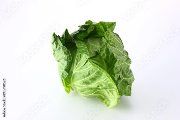 Obraz サワーキャベツ１個　白バック