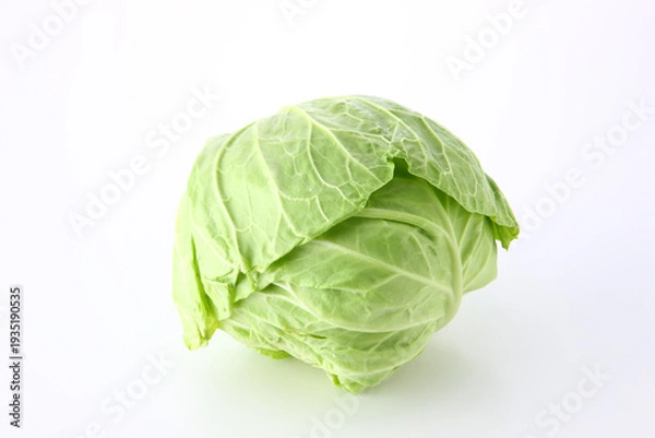 Obraz サワーキャベツ１個　白バック