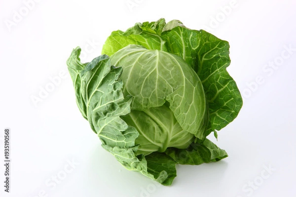 Obraz サワーキャベツ１個　白バック