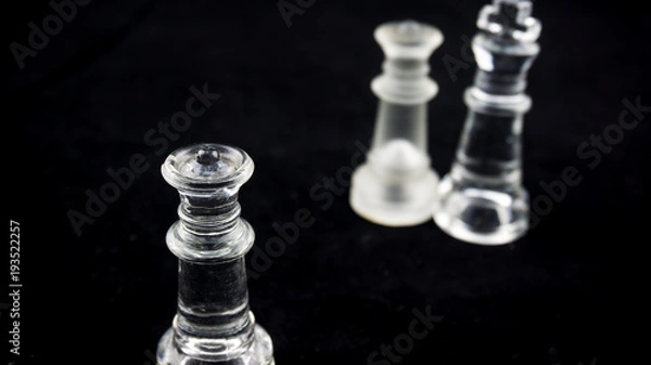 Fototapeta lonely queen