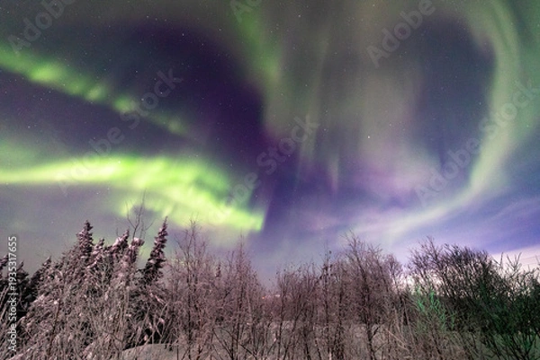 Obraz アラスカ　フェアバンクスのオーロラ