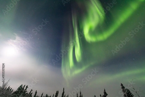 Obraz アラスカ　フェアバンクスのオーロラ