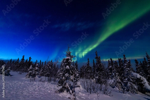 Obraz アラスカ　フェアバンクスのオーロラ