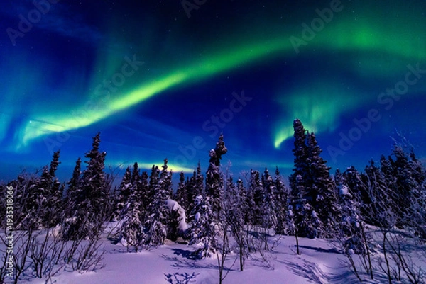 Obraz アラスカ　フェアバンクスのオーロラ