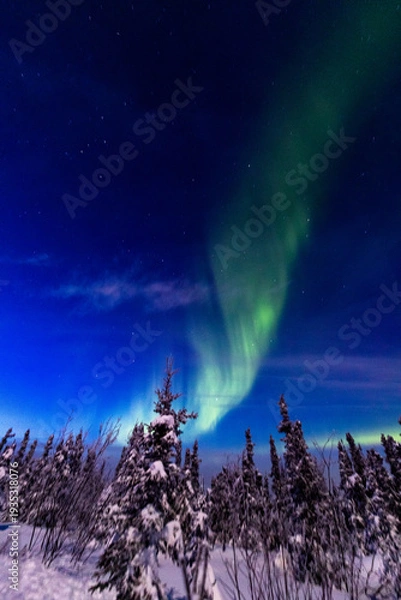 Obraz アラスカ　フェアバンクスのオーロラ