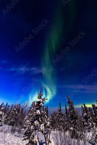 Obraz アラスカ　フェアバンクスのオーロラ