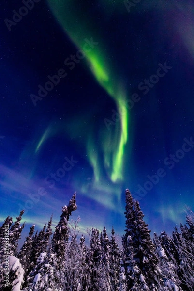 Obraz アラスカ　フェアバンクスのオーロラ