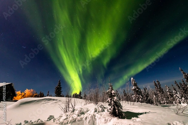 Obraz アラスカ　フェアバンクスのオーロラ