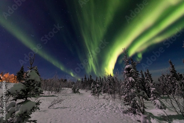 Obraz アラスカ　フェアバンクスのオーロラ