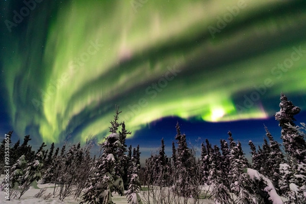 Obraz アラスカ　フェアバンクスのオーロラ