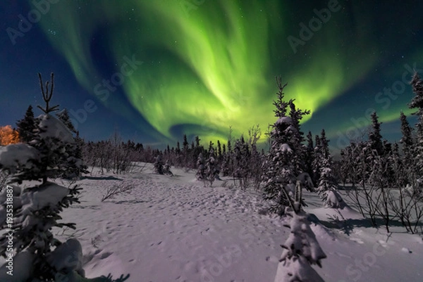Obraz アラスカ　フェアバンクスのオーロラ