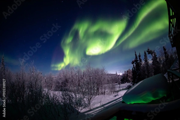 Obraz アラスカ　フェアバンクスのオーロラ