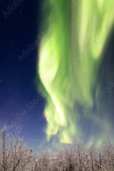 Obraz アラスカ　フェアバンクスのオーロラ