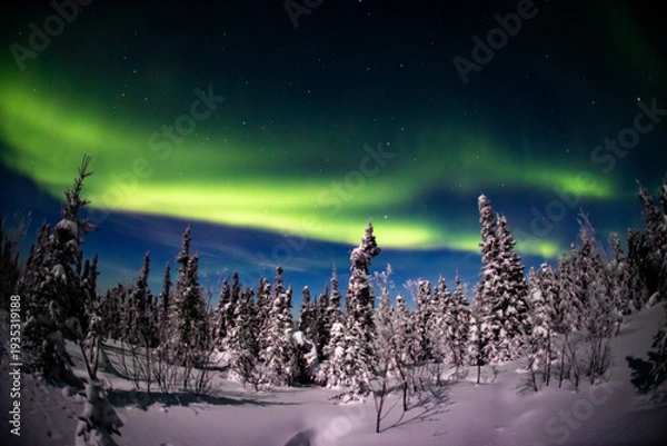 Obraz アラスカ　フェアバンクスのオーロラ