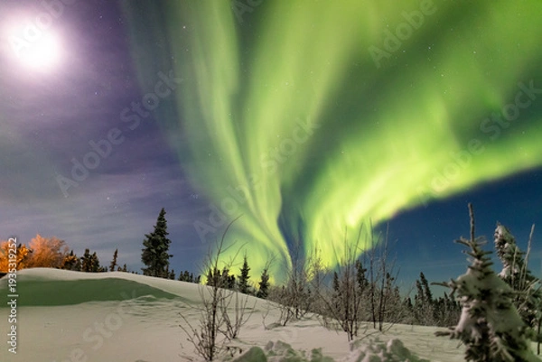 Obraz アラスカ　フェアバンクスのオーロラ