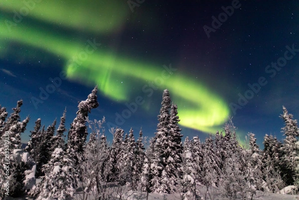 Obraz アラスカ　フェアバンクスのオーロラ