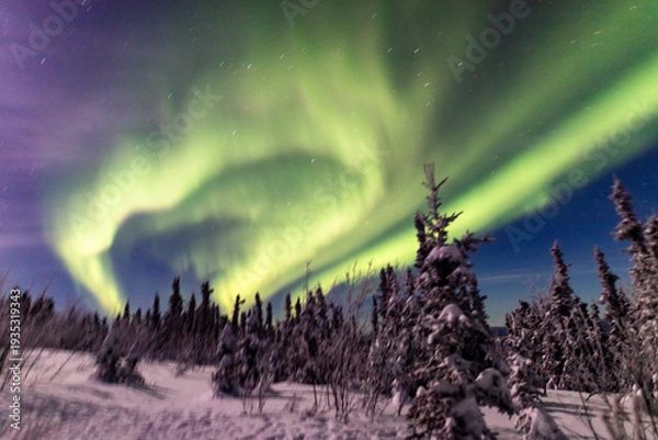 Obraz アラスカ　フェアバンクスのオーロラ