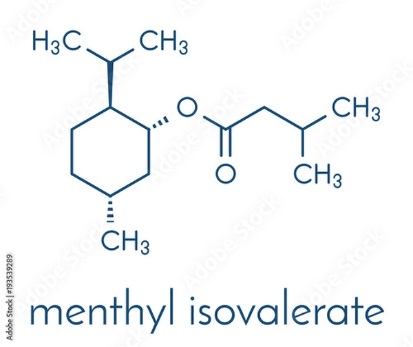 Fototapeta Menthyl isovalerate drug molecule. Skeletal formula.