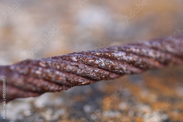 Obraz 錆びたステンレス製のロープと地衣類の共生