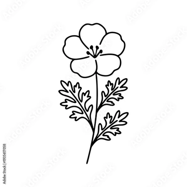 Obraz シンプルなネモフィラの線画アイコン