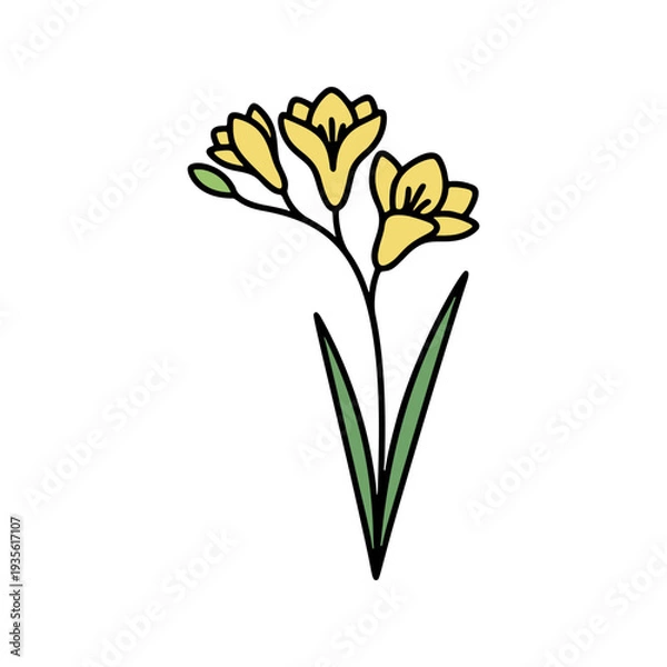 Obraz シンプルなフリージアのカラーアイコン