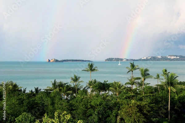 Fototapeta Summer blue ocean with a forest of palm trees and rainbows in the sky Concept for a postcard