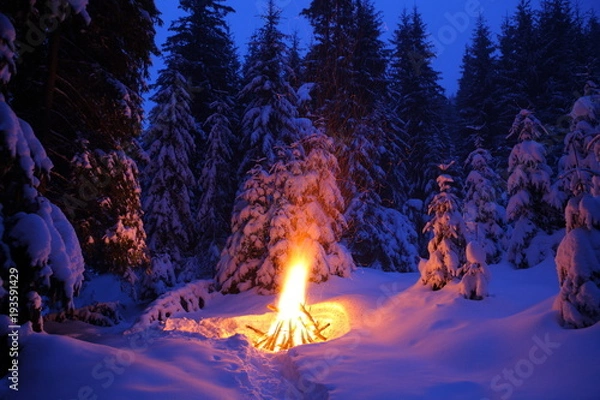 Fototapeta Ognisko w zimowym lesie oświetla śnieg.