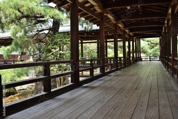 Obraz 大覚寺　村雨の廊下(京都市右京区)