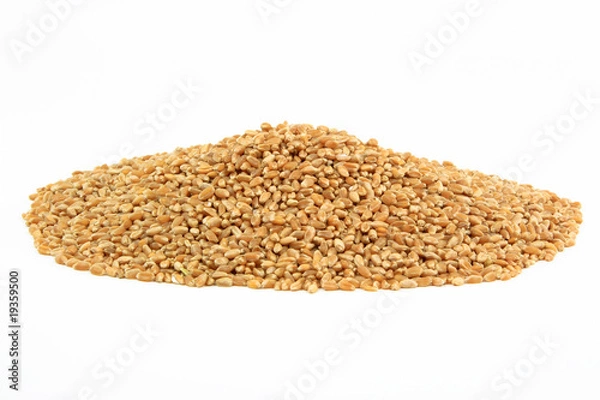 Fototapeta Hard Wheat Kernels.