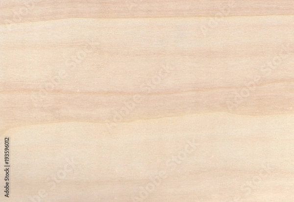 Obraz schöne holztextur