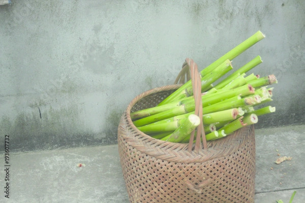 Obraz A basket of sugar canes from a farm in China