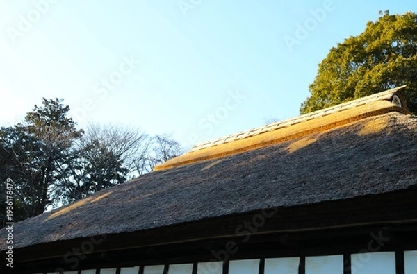 Obraz 藁ぶき屋根　古民家