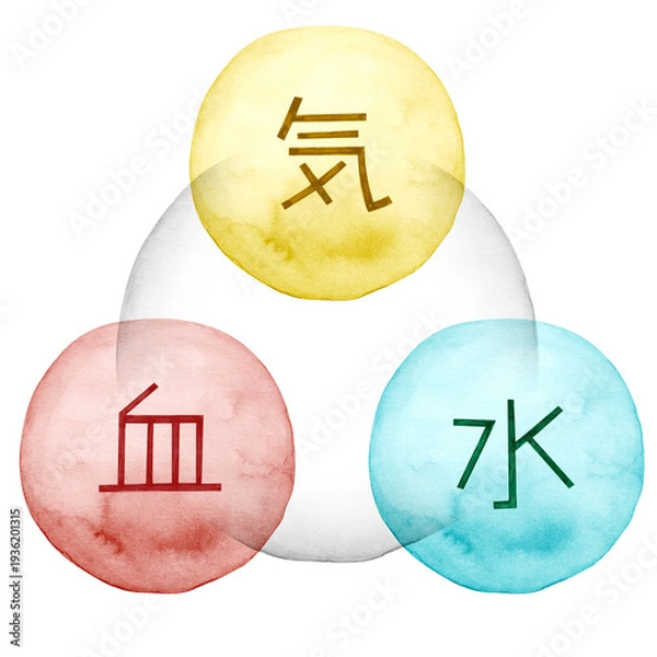 Obraz 東洋医学における気・血・水の相関図　水彩 イラス